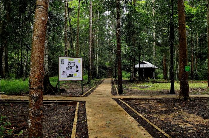 Pelestarian Kawasan Konservasi Laut: Strategi, Peran Pemerintah, Masyarakat, dan Teknologi dalam Menjaga Ekosistem Laut, Keanekaragaman Hayati, Terumbu Karang, Ikan, dan Sumber Daya Laut untuk Keberlanjutan Generasi Mendatang